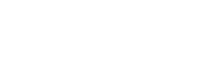 SarynSpace